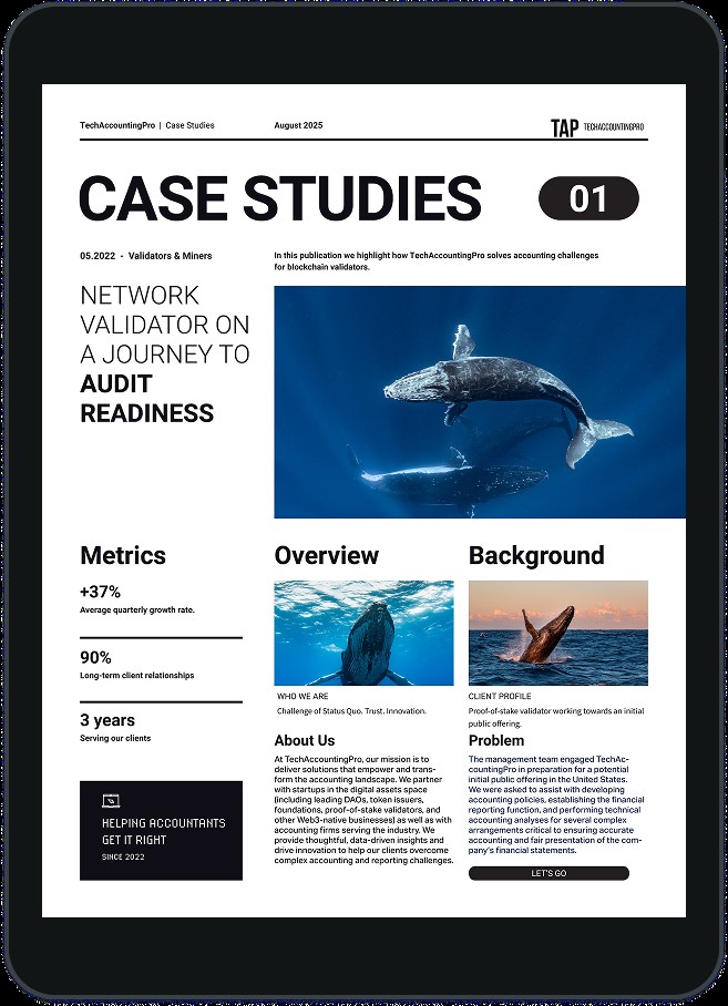 Network Validator on a Journey to Audit Readiness